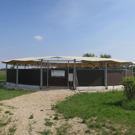 Holiday Home Domus Magna-3 By Interhome Povoletto Eksteriør billede